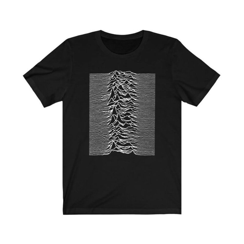 Joy Division Unisex Adult Unknown Pleasures Back Print T-Shirt / Black